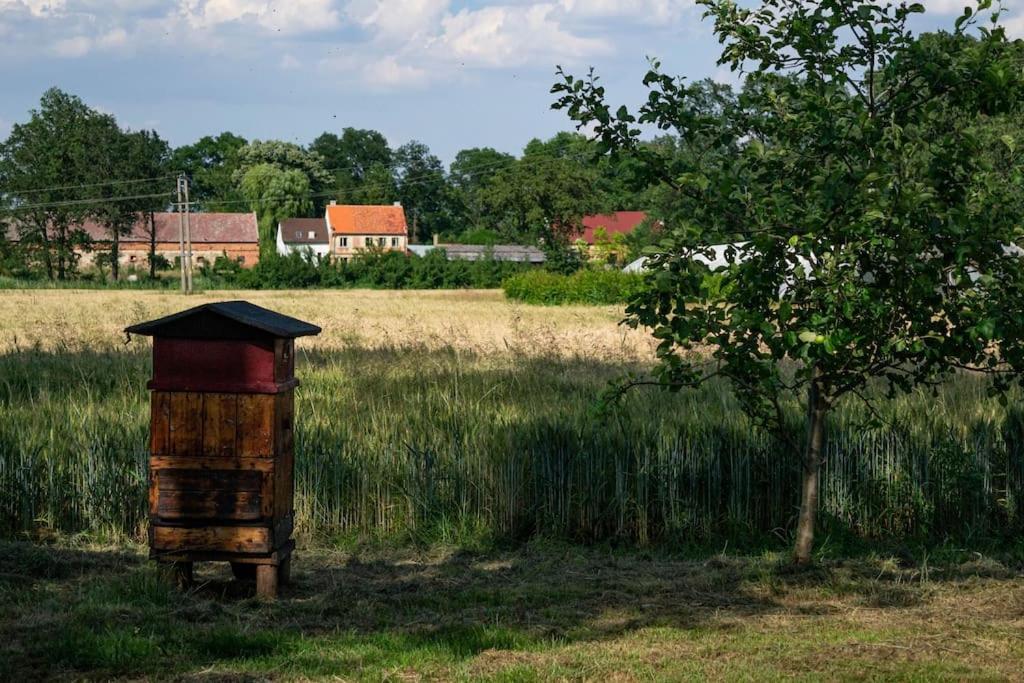 Agroturystyka Borow Prusice Exterior photo