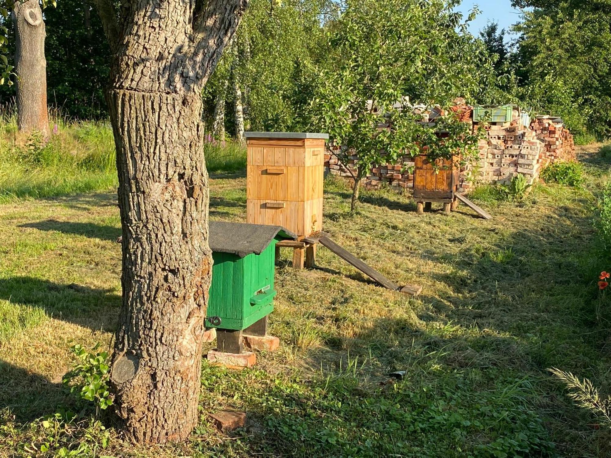 Agroturystyka Borow Prusice Exterior photo