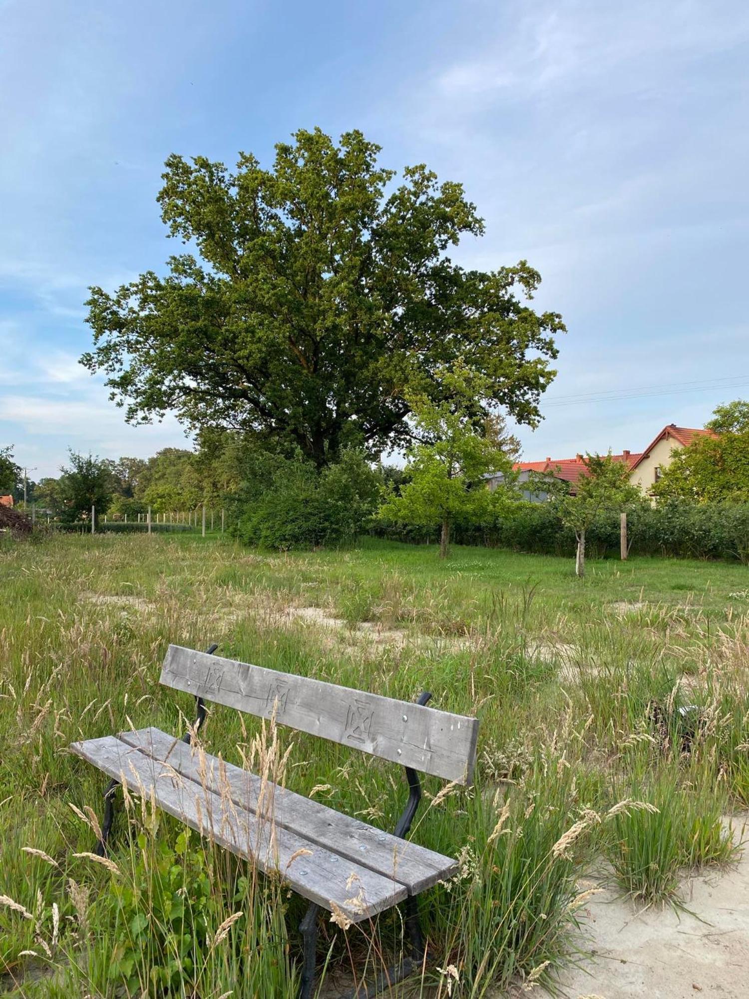 Agroturystyka Borow Prusice Exterior photo