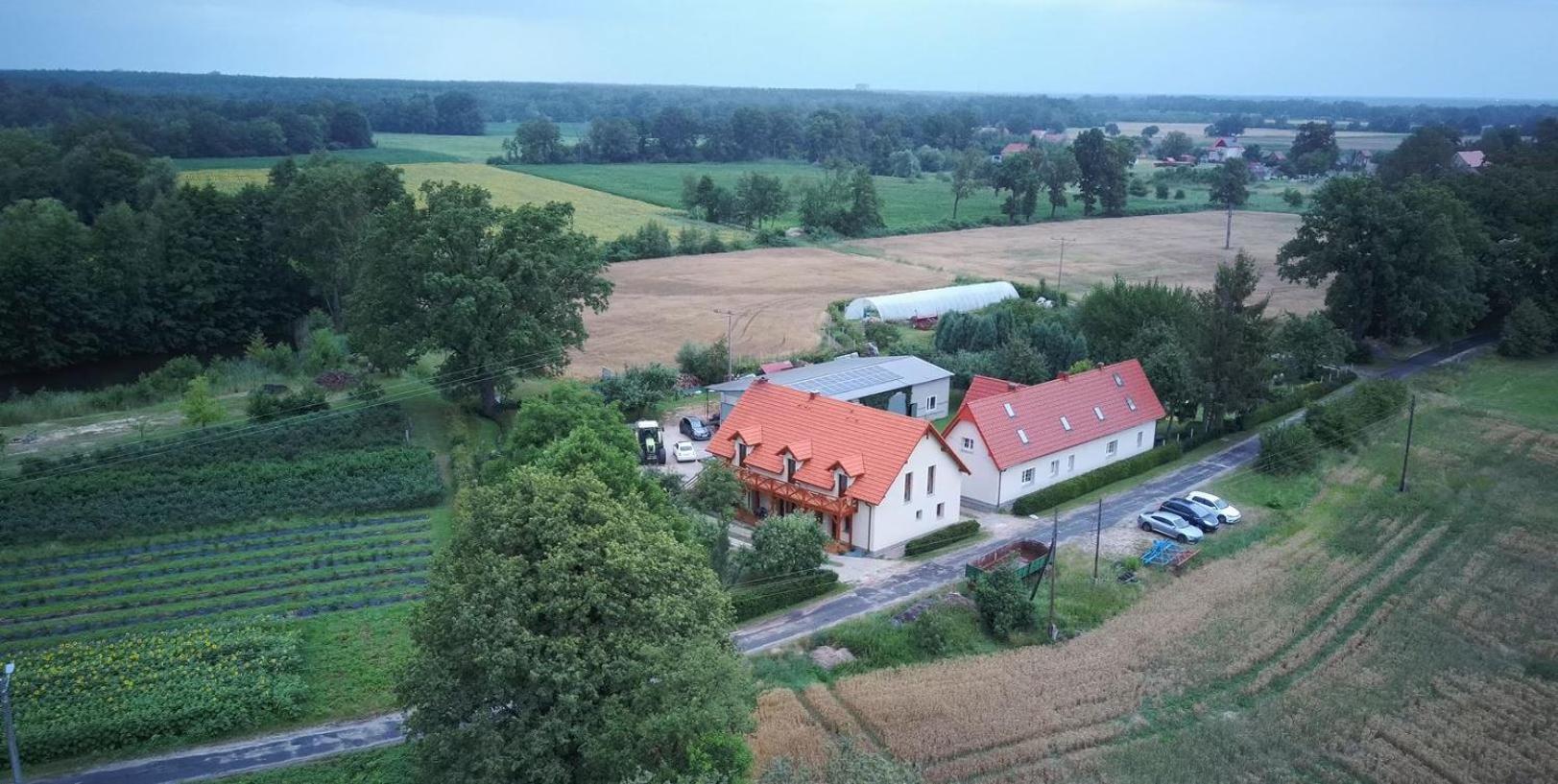 Agroturystyka Borow Prusice Exterior photo